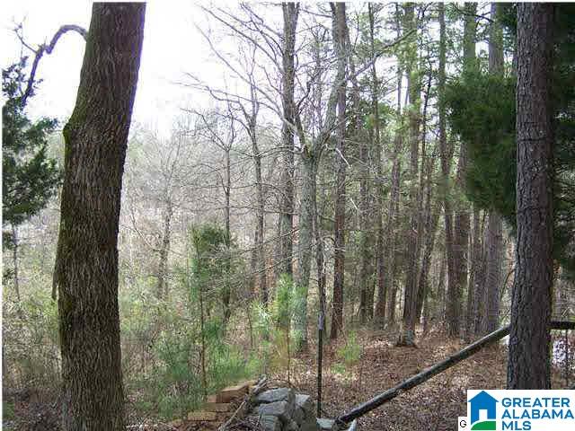 4820 Spunky Hollow Road Remlap, AL 35133 - Photo 22 of 24