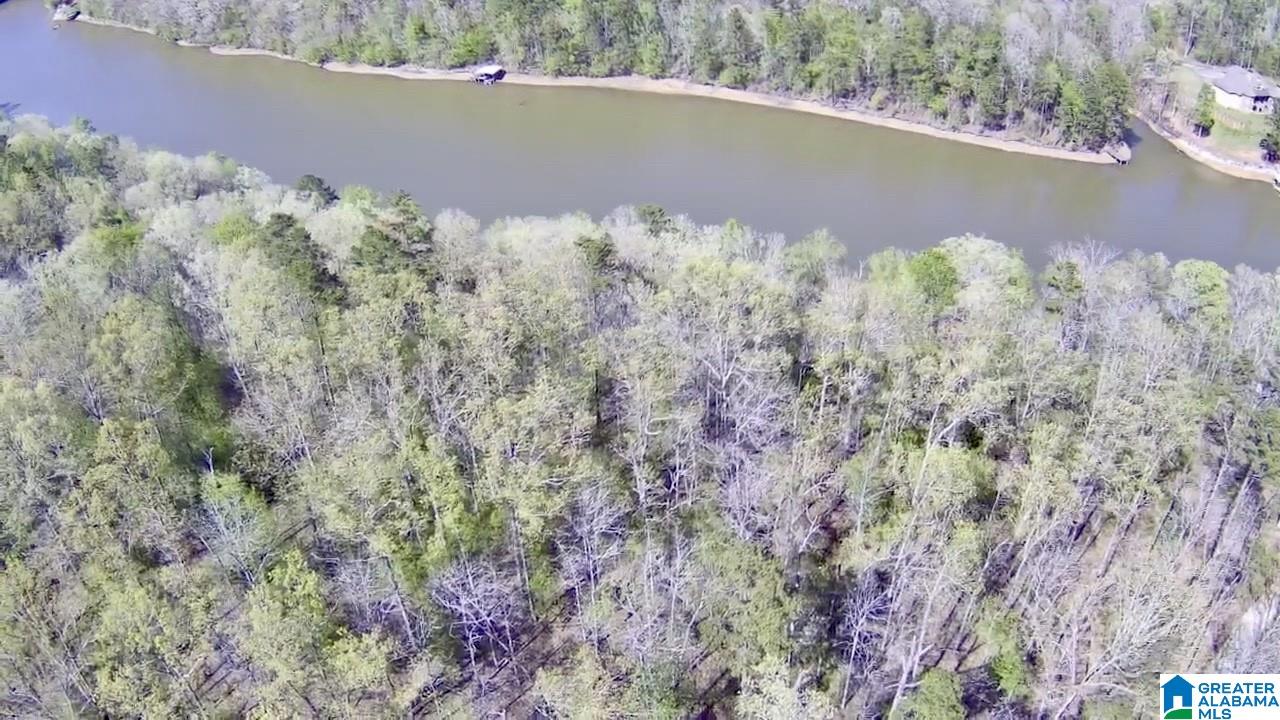 214 County Road, Unit 28 Delta, AL 36258 - Photo 1 of 3 Gallery Image 1