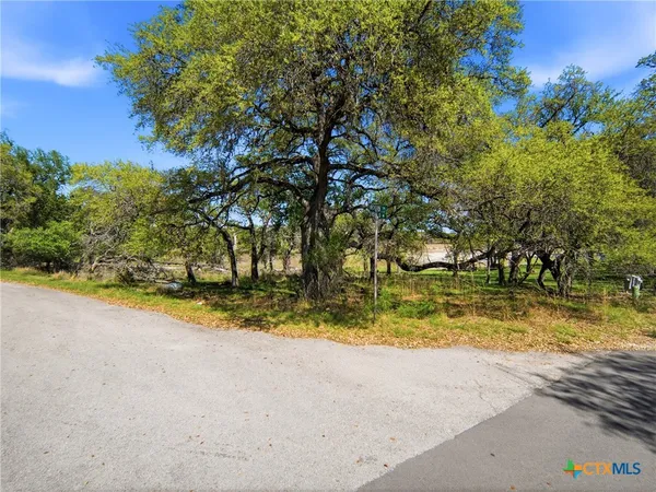 a view of road and trees