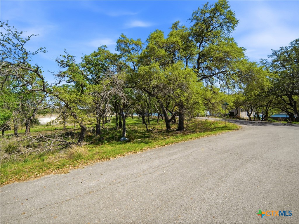 1309 Emerald Road Lago Vista, TX 78645 - Photo 19 of 26 a view of road and trees