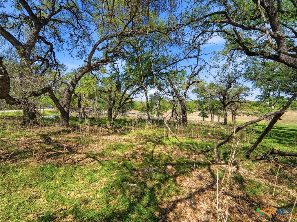 1309 Emerald Road Lago Vista, TX 78645 - Photo 20 of 26 a view of yard with green space