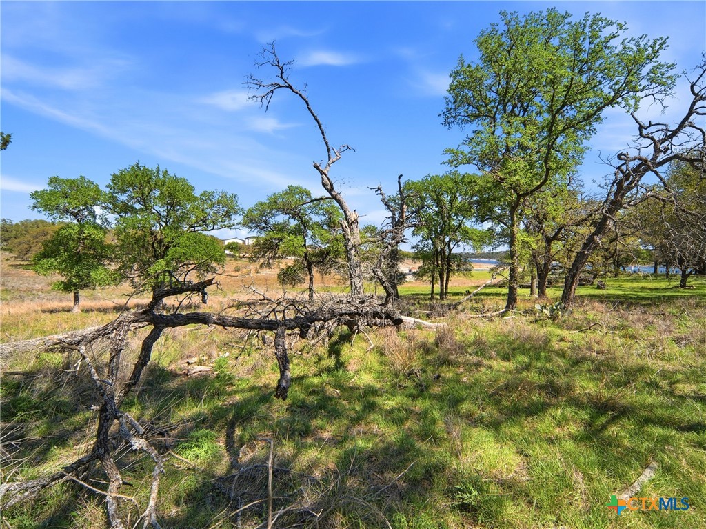 1309 Emerald Road Lago Vista, TX 78645 - Photo 21 of 26 a view of a yard