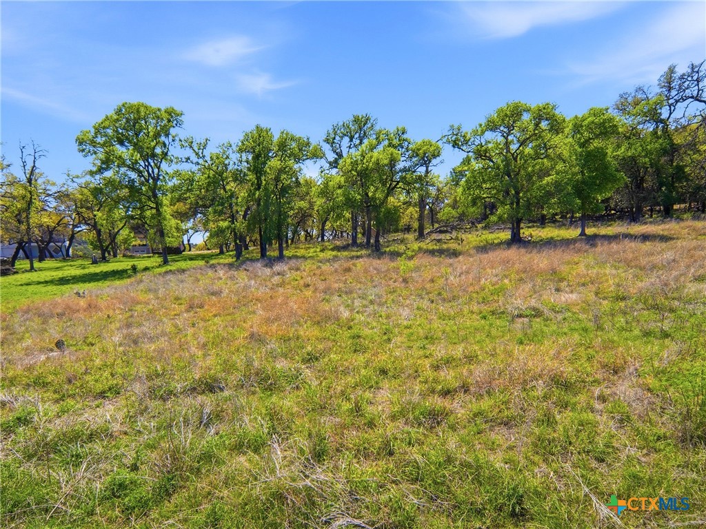 1309 Emerald Road Lago Vista, TX 78645 - Photo 24 of 26 a view of a yard with a tree
