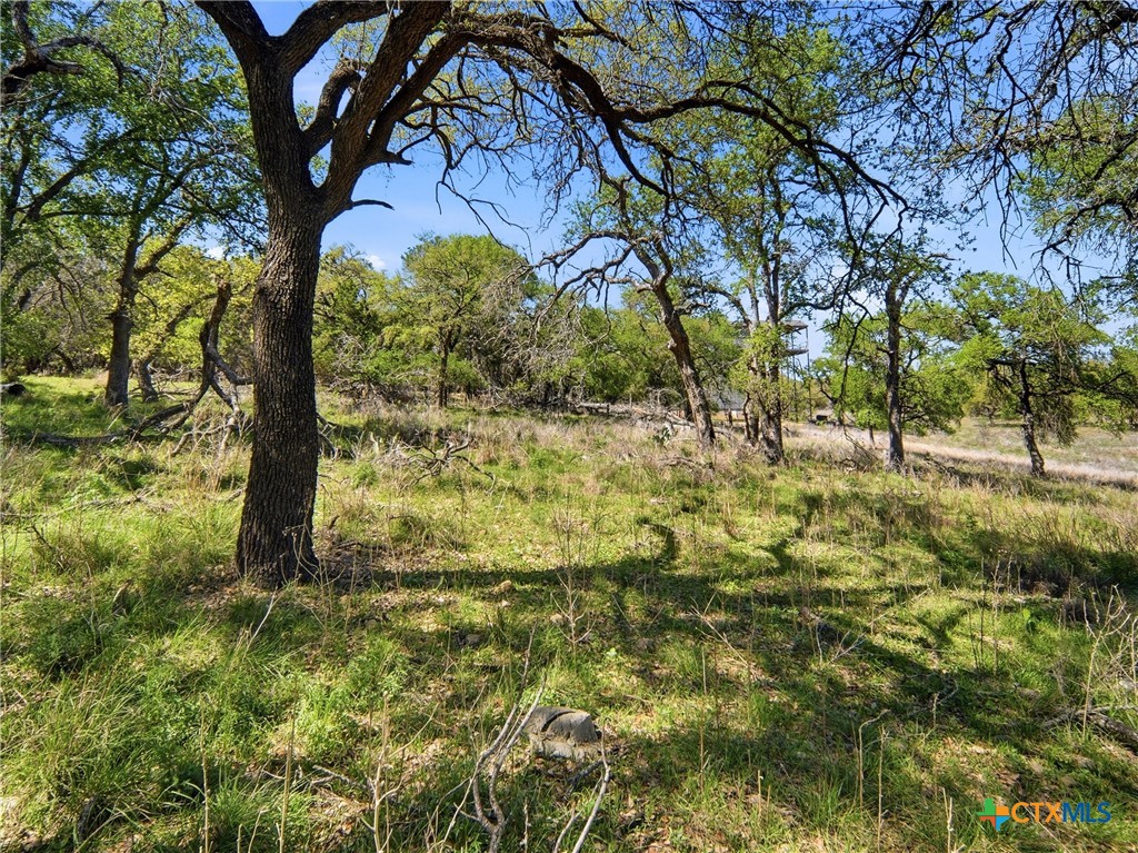 1309 Emerald Road Lago Vista, TX 78645 - Photo 26 of 26 a view of garden