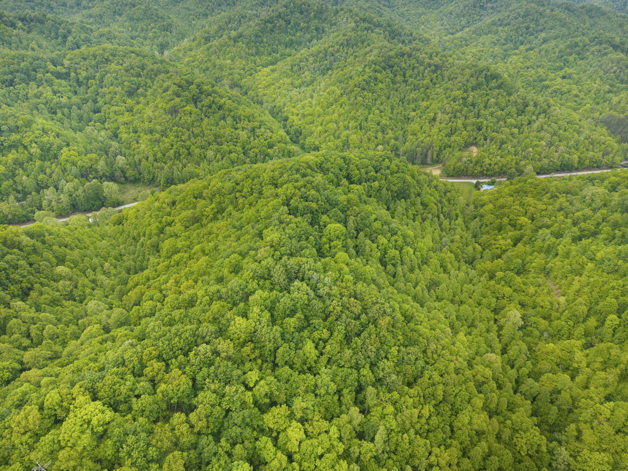 0 Jetts Creek Road Jackson, KY 41339 - Photo 15 of 31 14-web-or-mls-DJI_20260505152941_0035_D