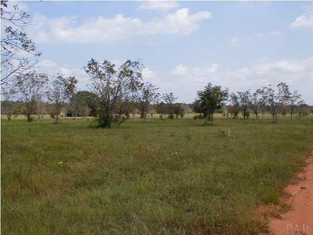 4135 Kendrick Road Milton, FL 32583 - Photo 2 of 3 a view of a field with an outdoor space