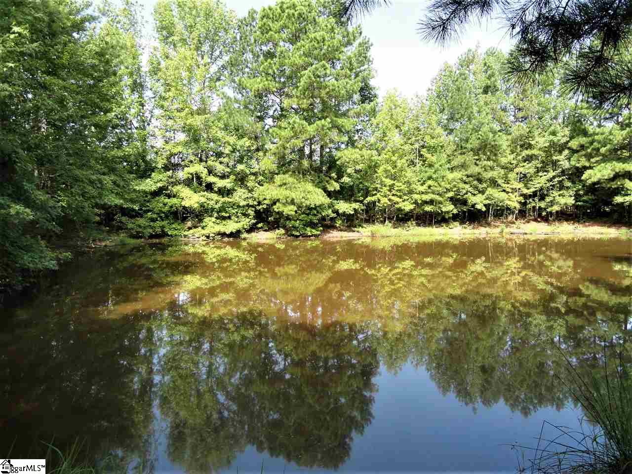 3323 Scotts Ferry Road Troy, SC 29848 - Photo 2 of 18