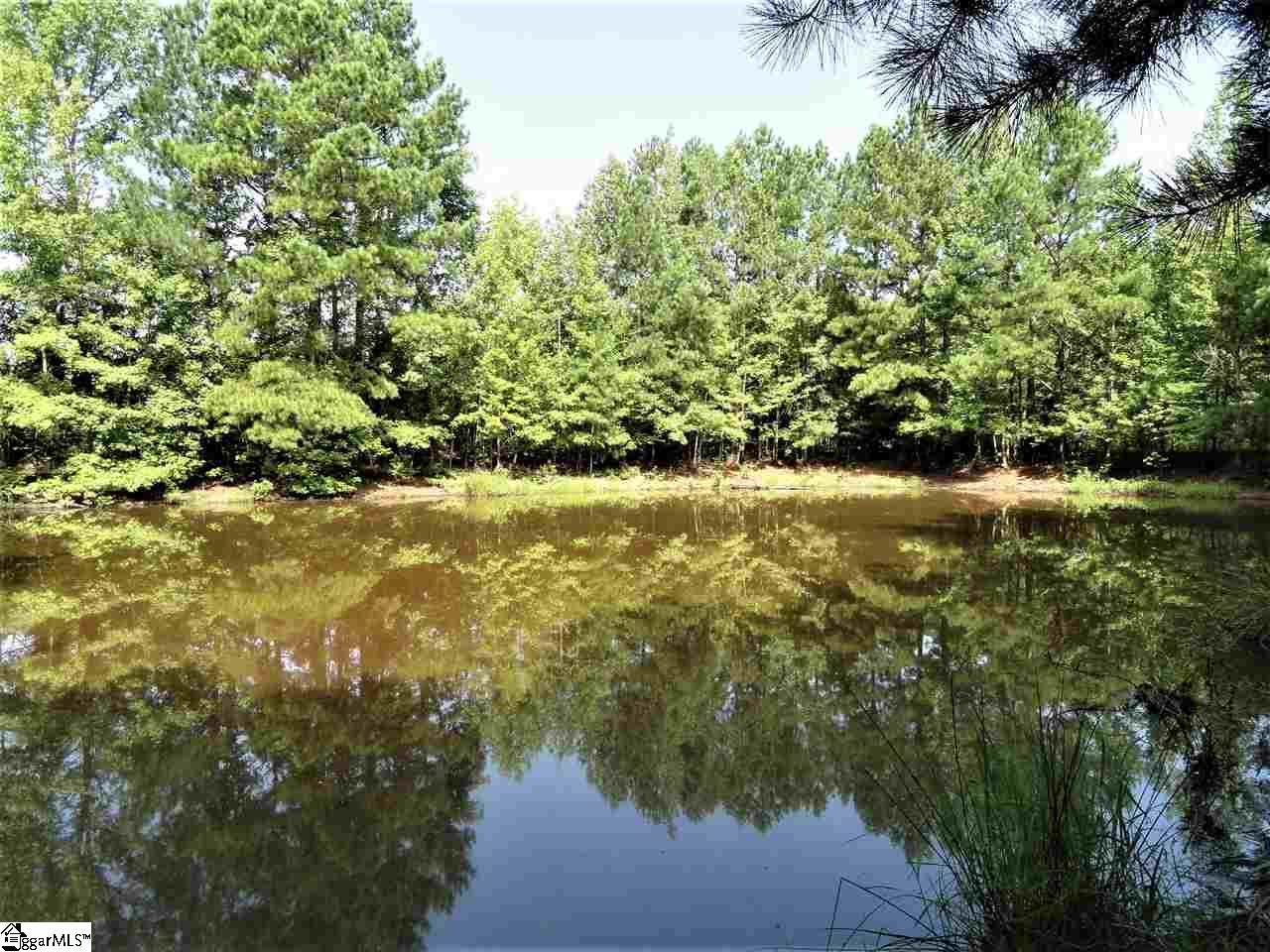 3323 Scotts Ferry Road Troy, SC 29848 - Photo 11 of 18