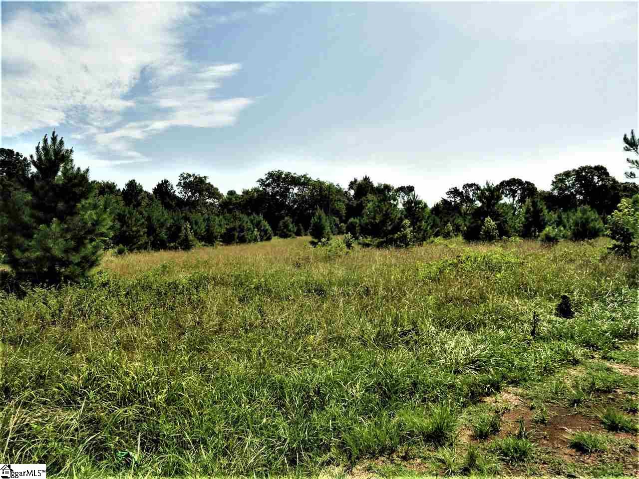 3323 Scotts Ferry Road Troy, SC 29848 - Photo 3 of 18