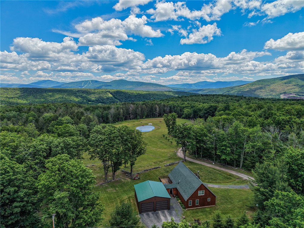 89 Zinno Road Windham, NY 12496 - Photo 2 of 50