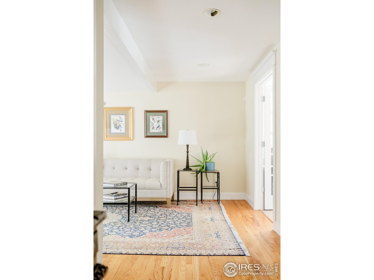 3788 26th Street Boulder, CO 80304 - Photo 10 of 47 a living room with furniture and a rug