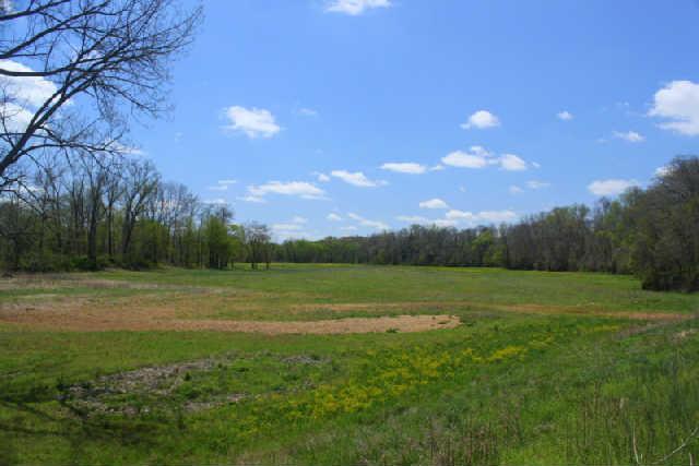 0 Only Road Nunnelly, TN 37137 - Photo 11 of 19 Gallery Image 11