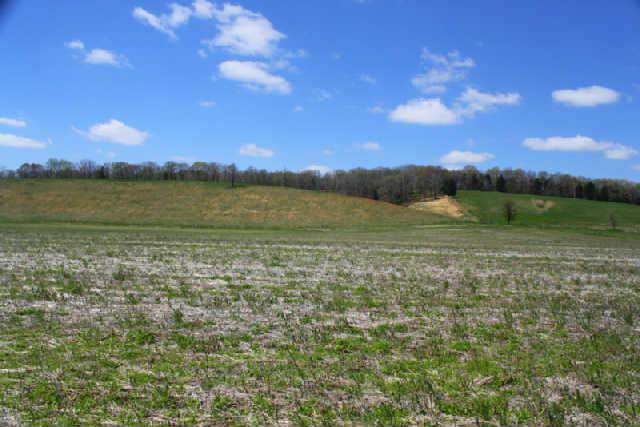 0 Only Road Nunnelly, TN 37137 - Photo 12 of 19 Gallery Image 12