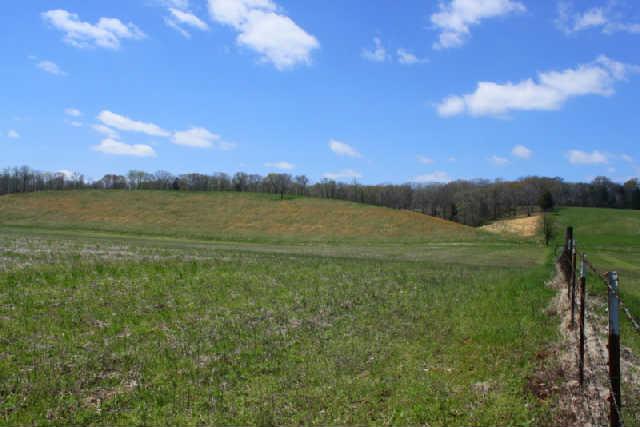 0 Only Road Nunnelly, TN 37137 - Photo 13 of 19 Gallery Image 13