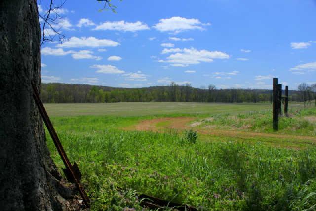 0 Only Road Nunnelly, TN 37137 - Photo 14 of 19 Gallery Image 14