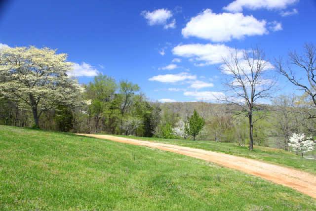 0 Only Road Nunnelly, TN 37137 - Photo 18 of 19 Gallery Image 18