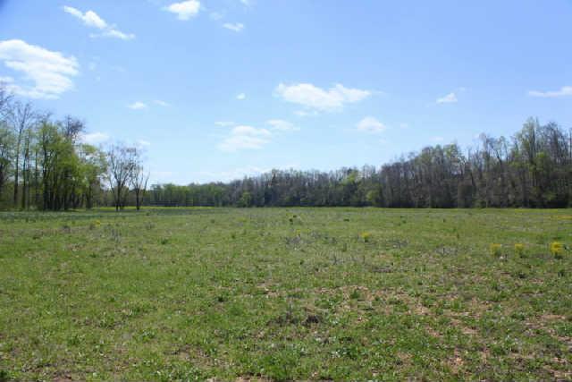 0 Only Road Nunnelly, TN 37137 - Photo 19 of 19 Gallery Image 19