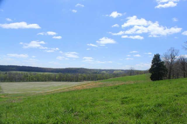 0 Only Road Nunnelly, TN 37137 - Photo 3 of 19 Gallery Image 3