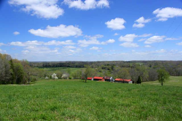 0 Only Road Nunnelly, TN 37137 - Photo 4 of 19 Gallery Image 4