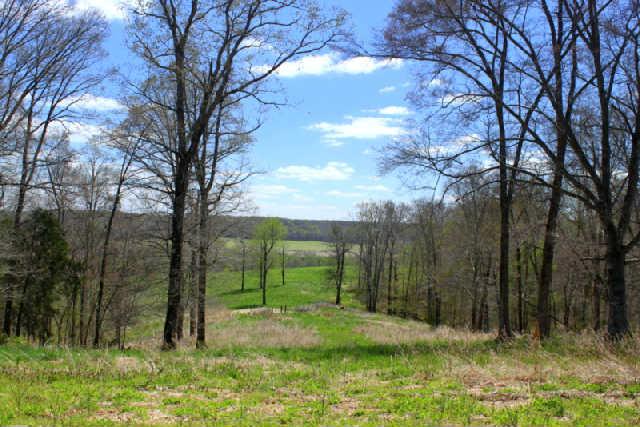 0 Only Road Nunnelly, TN 37137 - Photo 5 of 19 Gallery Image 5