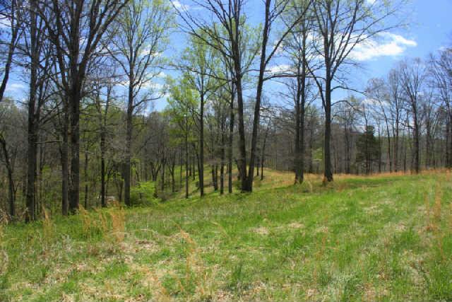 0 Only Road Nunnelly, TN 37137 - Photo 7 of 19 Gallery Image 7