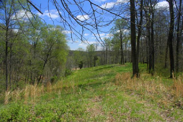 0 Only Road Nunnelly, TN 37137 - Photo 8 of 19 Gallery Image 8