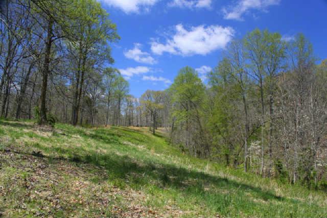 0 Only Road Nunnelly, TN 37137 - Photo 9 of 19 Gallery Image 9