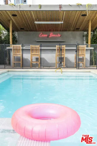 a view of a dry yard