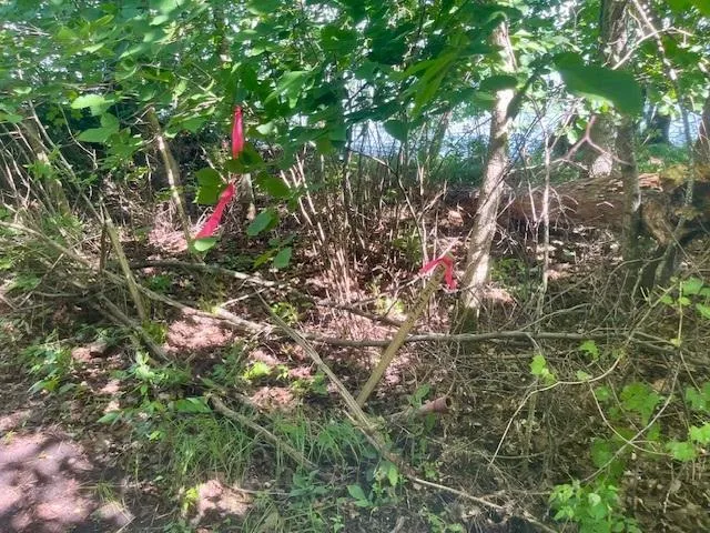 $340,000 | 48410 Squaw Point Trail, Perham, MN 56573