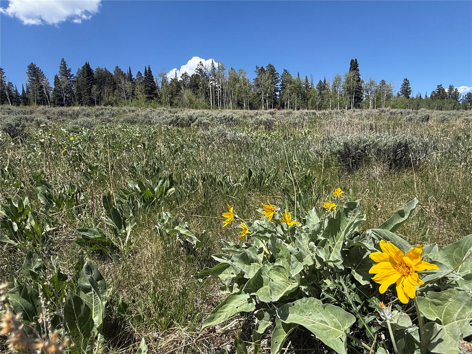 Tbd Spring Creek Ranch Road Silverthorne, CO 80498 - Photo 9 of 48