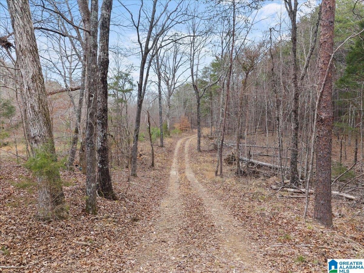 1484 Waid Road Oneonta, AL 35121 - Photo 24 of 33