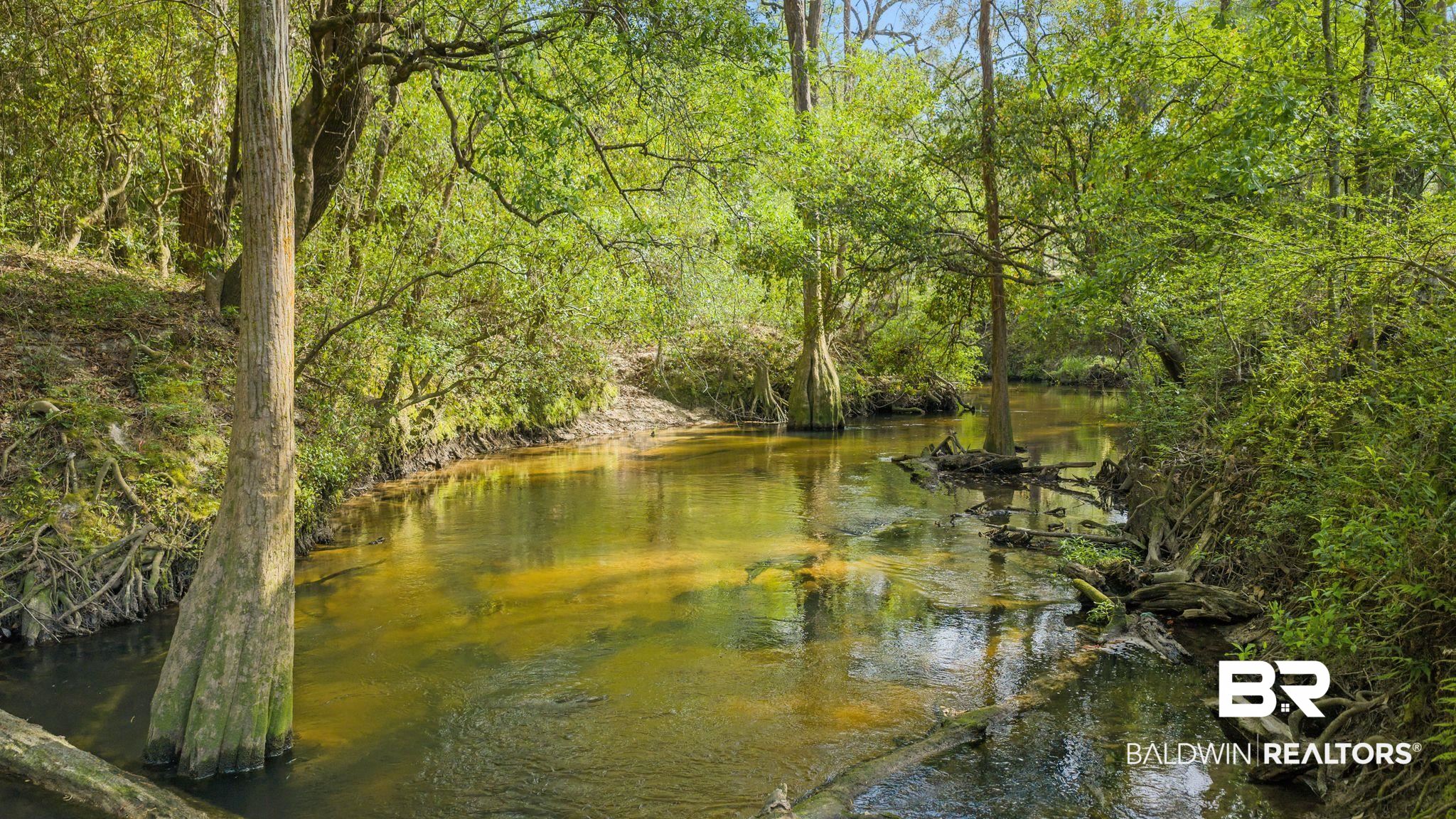 22800 River Road South Daphne, AL 36526 - Photo 6 of 52 Water view