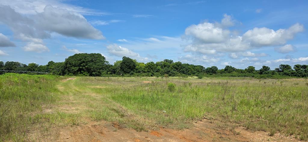 18.3-acres Hollis Dairy Road Newton, AL 36352 - Photo 5 of 11