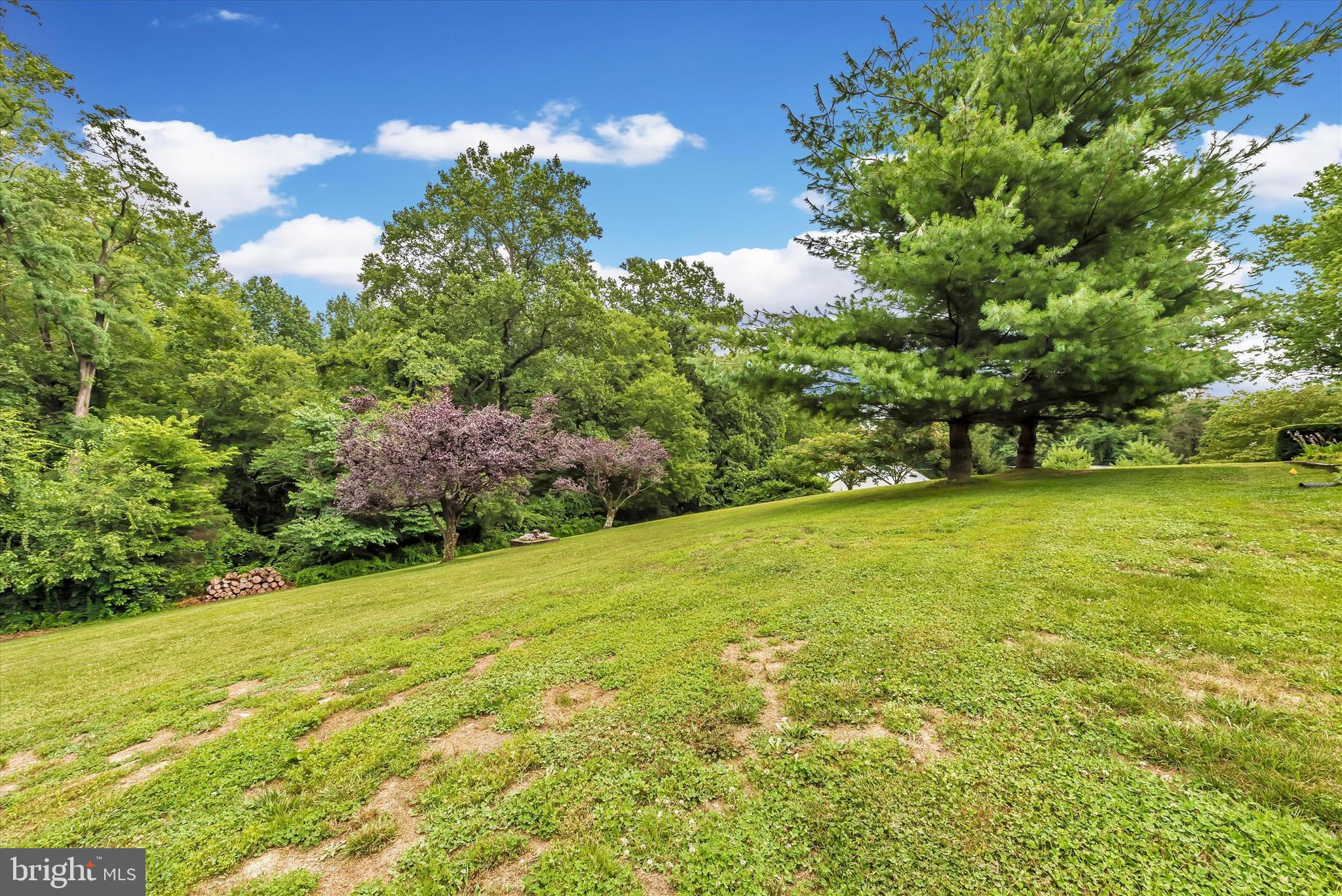 5333 Gold Mine Road Frederick, MD 21703 - Photo 31 of 34 Open, Private Backyard