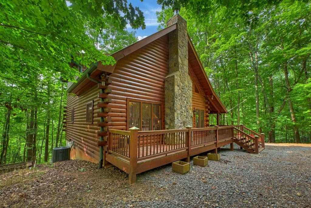 541 Little Bushy Head Road Blue Ridge, GA 30513 - Photo 3 of 45 Gallery Image 3