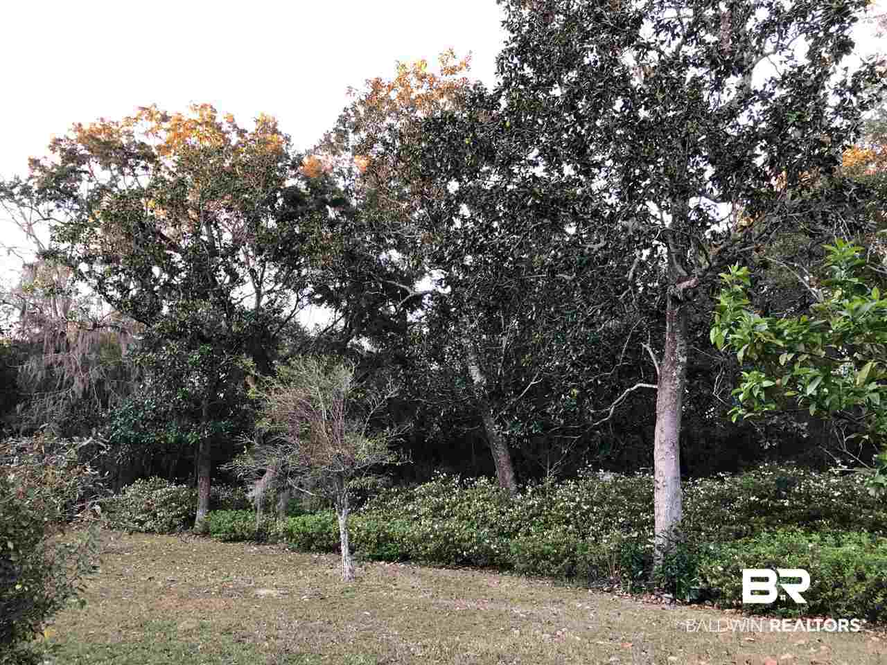 29104 Canal Road Orange Beach, AL 36561 - Photo 10 of 15