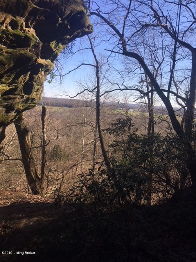 1600 Warren Purcell Road Leitchfield, KY 42754 - Photo 28 of 34 Warren Percell 28