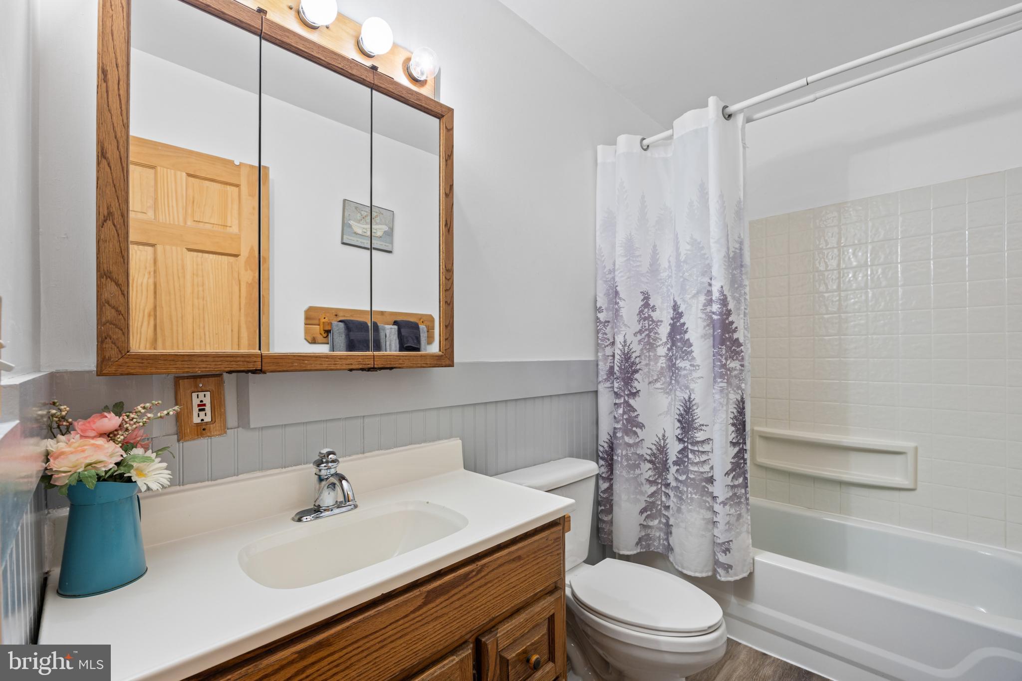 1215 Fort Stover Road Luray, VA 22835 - Photo 110 of 143 a bathroom with a sink toilet mirror vanity and shower
