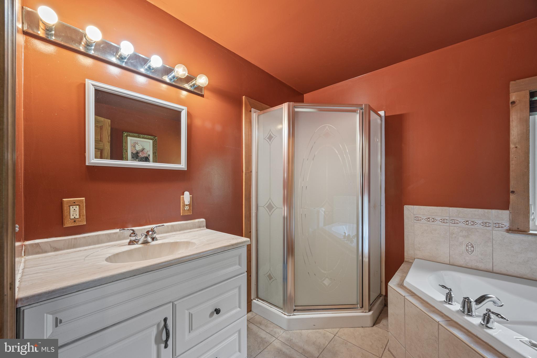 1215 Fort Stover Road Luray, VA 22835 - Photo 45 of 143 a bathroom with a sink and a mirror