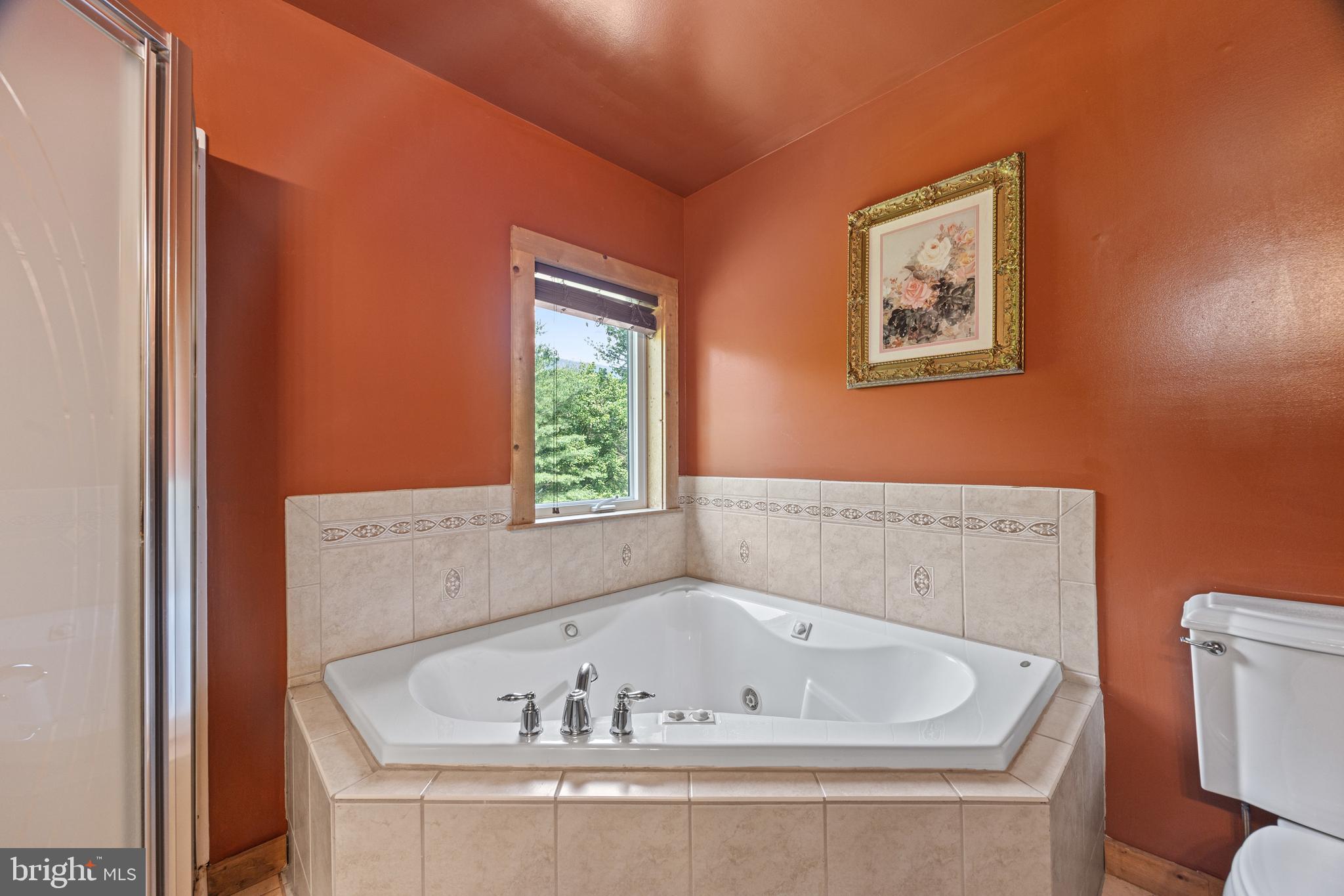 1215 Fort Stover Road Luray, VA 22835 - Photo 46 of 143