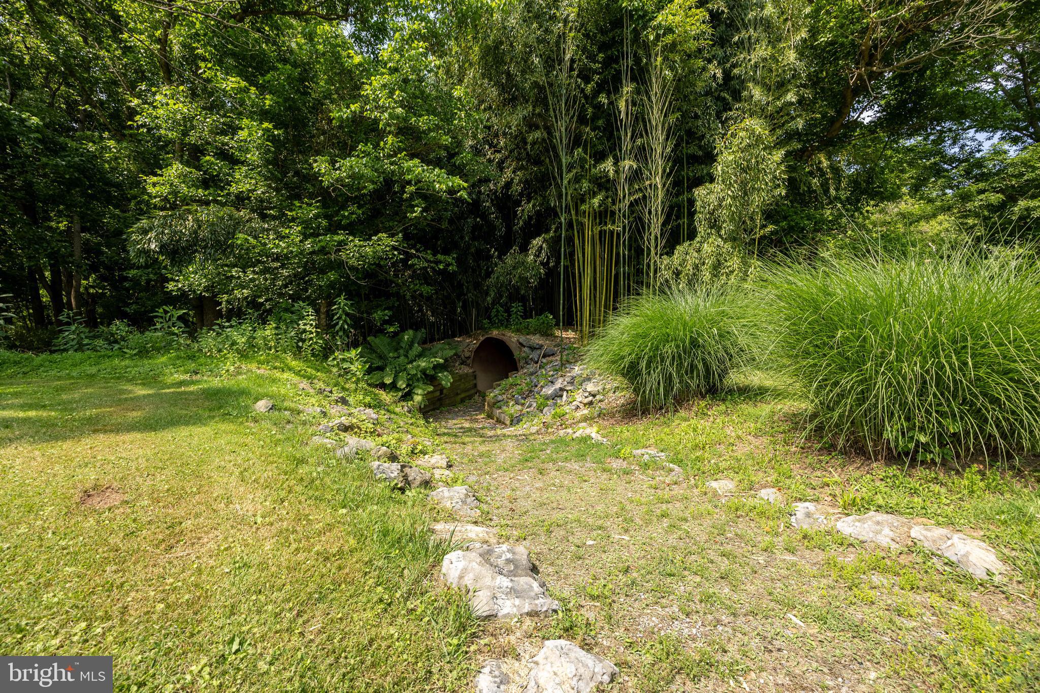 1215 Fort Stover Road Luray, VA 22835 - Photo 57 of 143