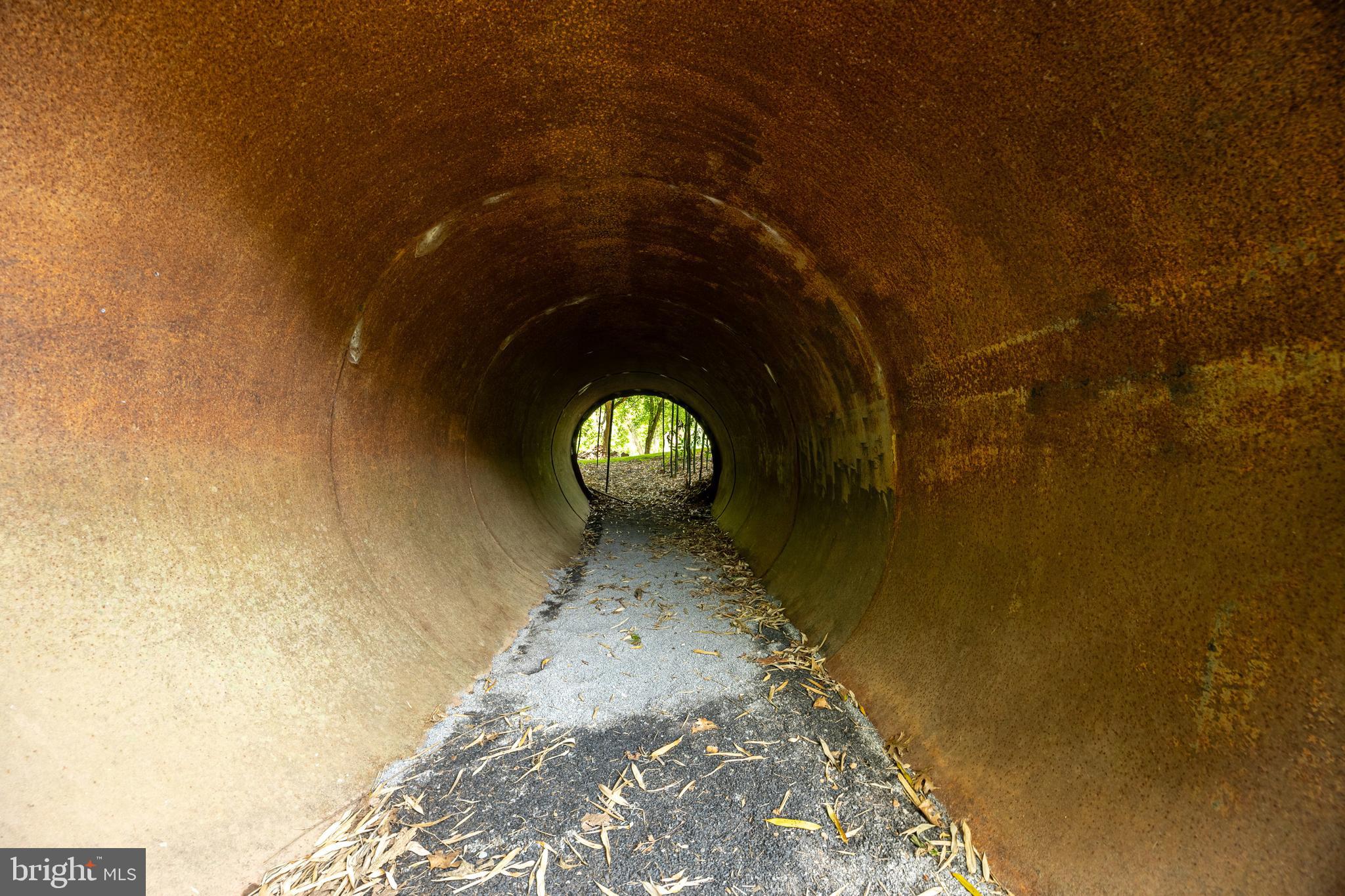 1215 Fort Stover Road Luray, VA 22835 - Photo 58 of 143