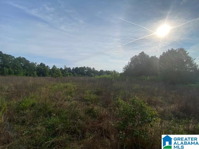 0 Highway 231, Unit 88 / AC Cleveland, AL 35049 - Photo 10 of 20