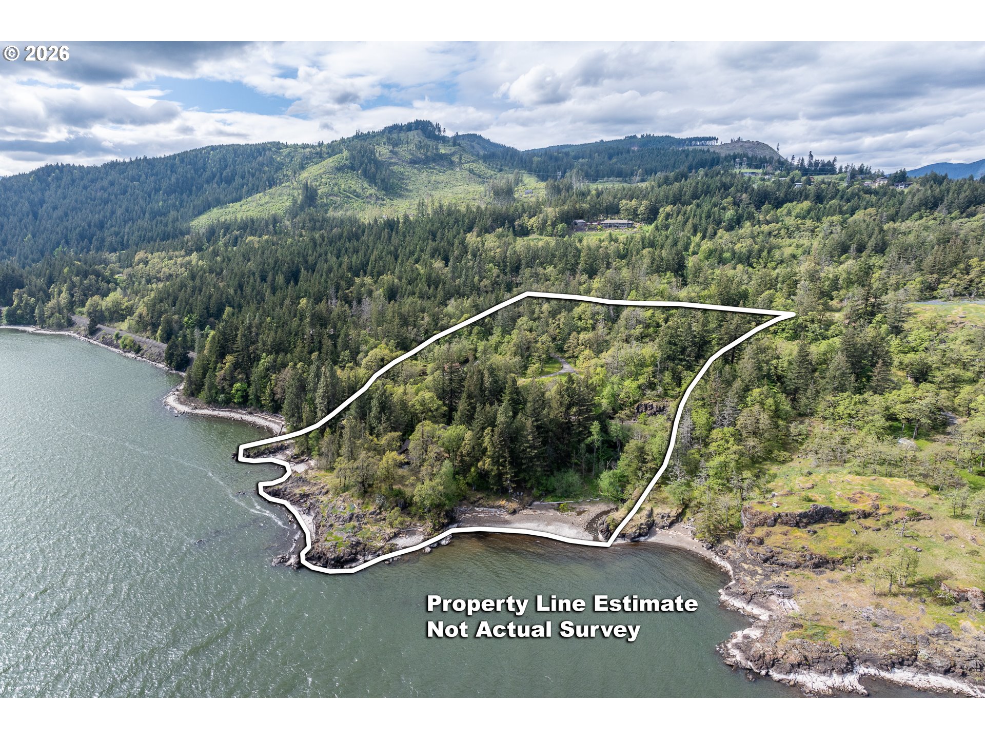 47742 Highway 14 Stevenson, WA 98648 - Photo 2 of 48 a view of a forest