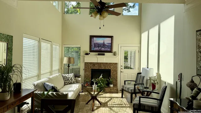 a living room with furniture a fireplace and a potted plant