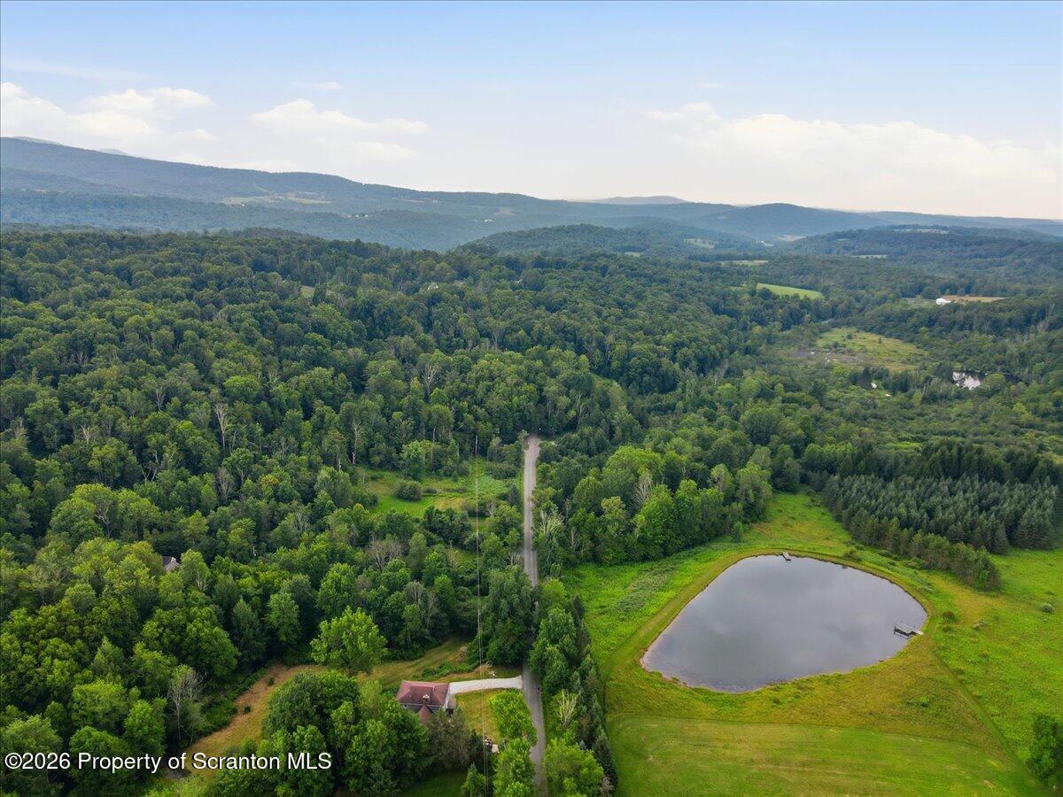 5646 State Rte 2067 South Gibson, PA 18842 - Photo 59 of 64 59-Drone_006