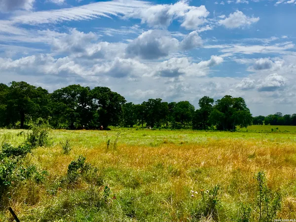 $798,000 | 1152 A County Road 227, Falls City, TX 78113