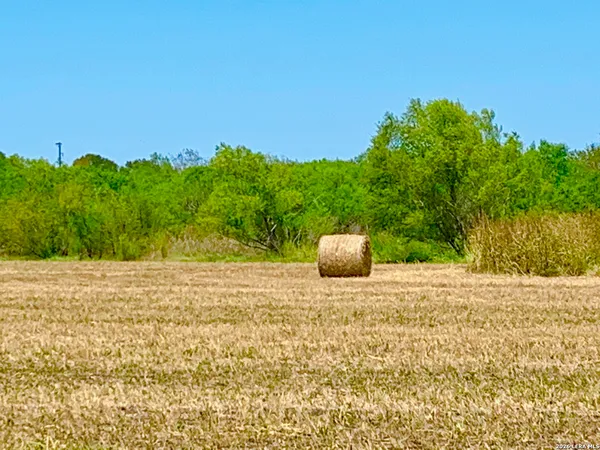 $798,000 | 1152 A County Road 227, Falls City, TX 78113