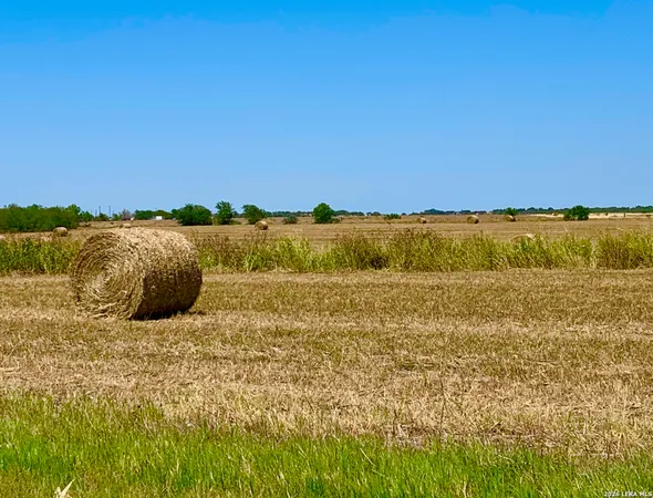 $798,000 | 1152 A County Road 227, Falls City, TX 78113