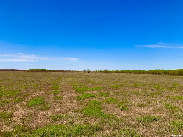 $798,000 | 1152 A County Road 227, Falls City, TX 78113